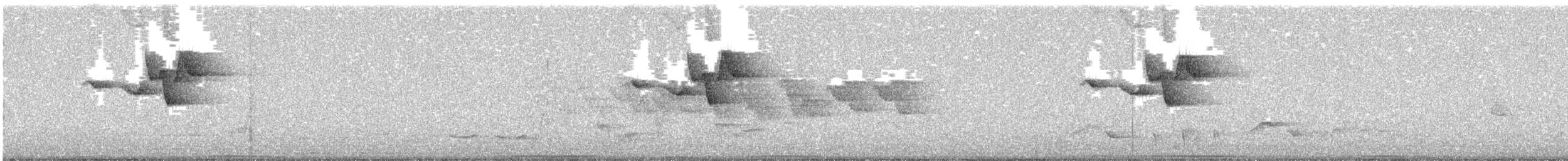 střízlík středoamerický - ML619473668