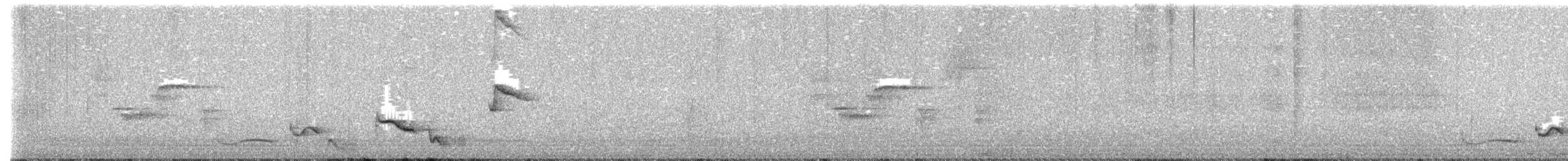 drozdec modrobílý - ML619473706