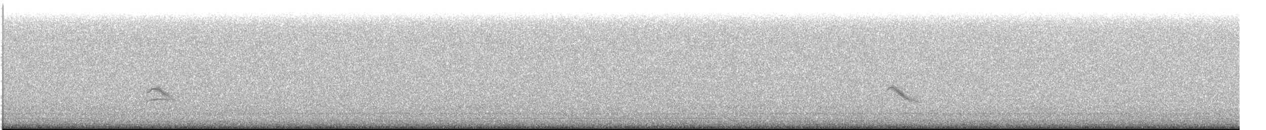Дрізд-короткодзьоб малий - ML619474976
