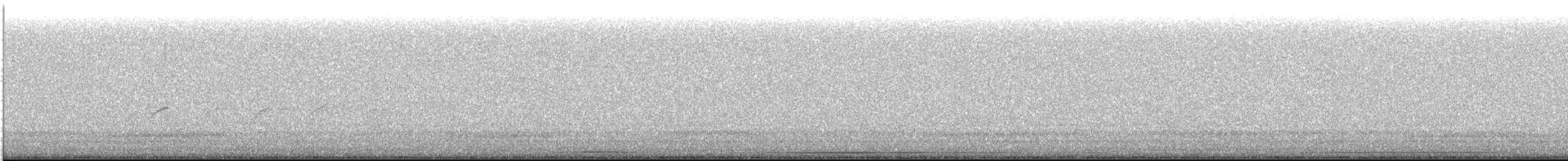 Spotted Sandpiper - ML619475038