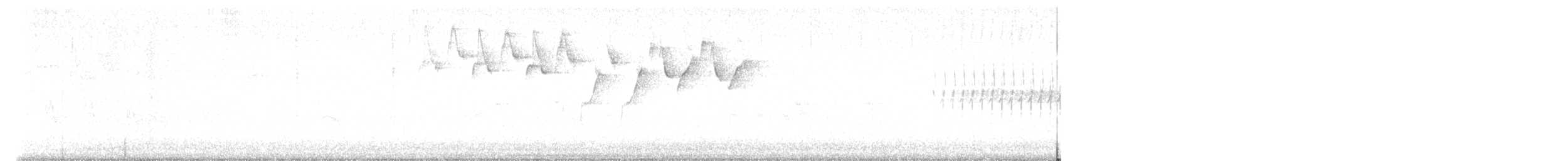 Paruline noir et blanc - ML619475671