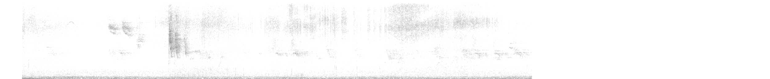 White Wagtail - ML619475956