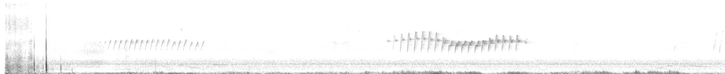 Білолобик бурий - ML619476220