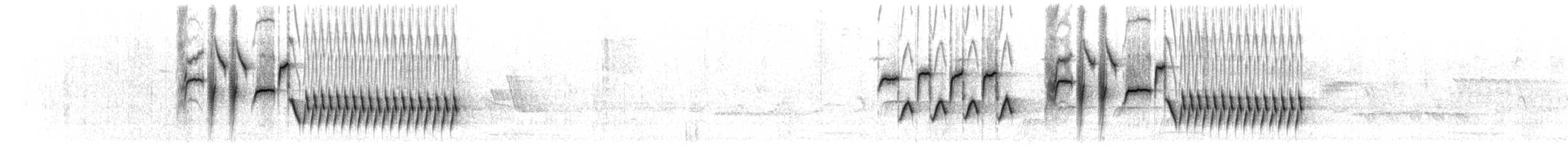 Troglodyte de Bewick - ML619476309