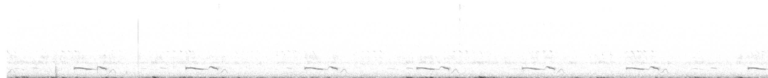 プアーウィルヨタカ - ML619477456