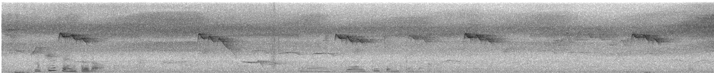 Траурная нектарница - ML619477561