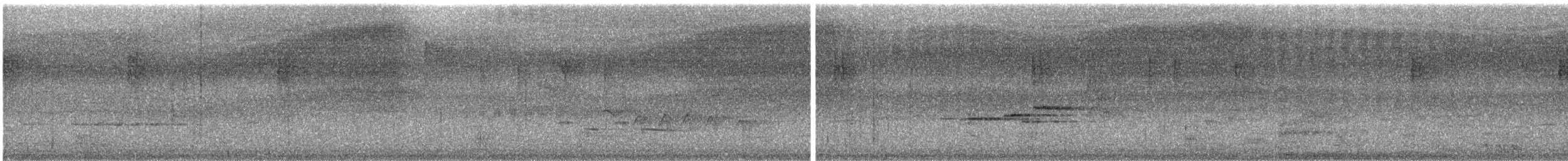 Белохвостая индига - ML619477562