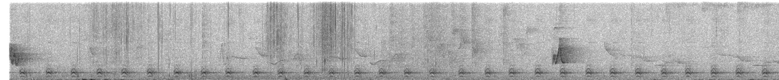 Gri Kuyruklu Trogon - ML619478301