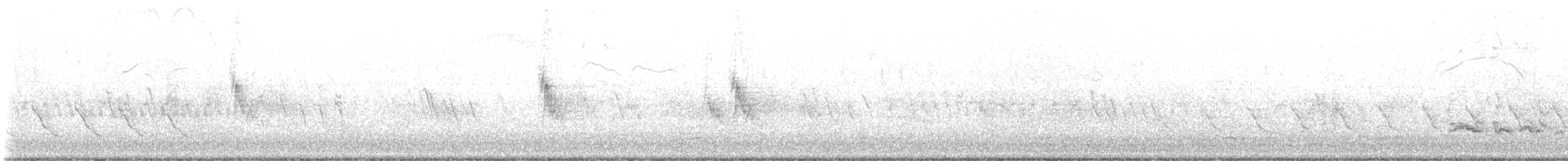 østblåfugl (sialis/bermudensis) - ML619478775