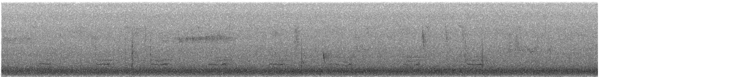 Râle à poitrine grise - ML619479568