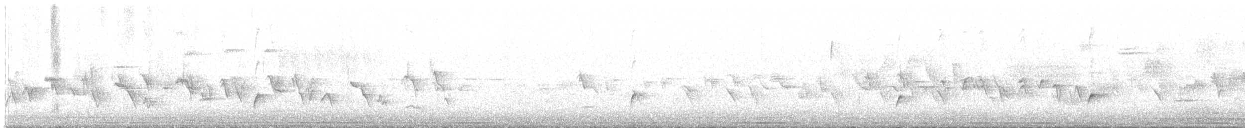 Дрізд-короткодзьоб Cвенсона - ML619479674