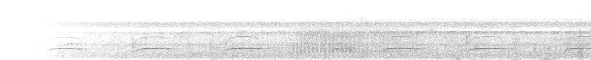 leskovec hvízdavý - ML619479698