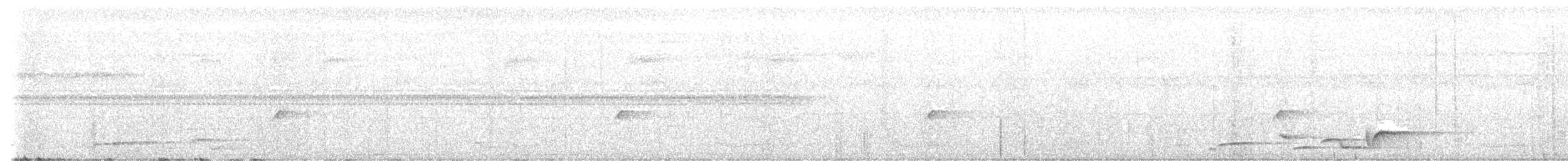 Kara Karınlı Çıtkuşu - ML619479983