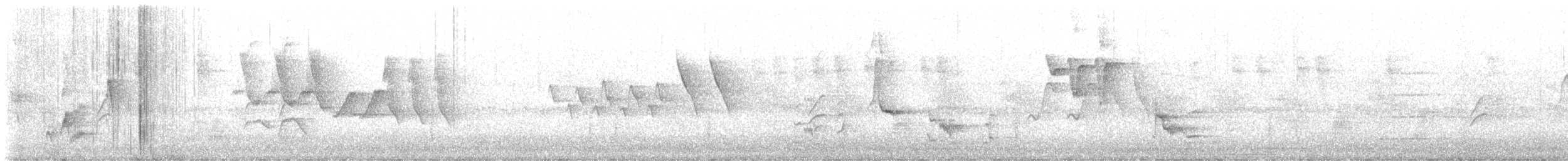 Pájaro Gato Gris - ML619480162