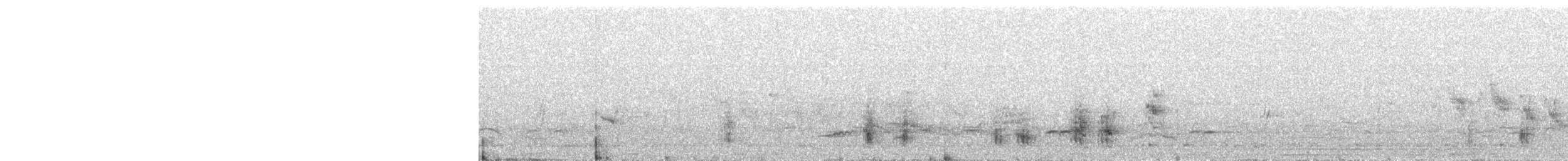 Great Reed Warbler - ML619481506