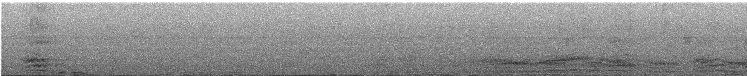 Гребенечуб андійський - ML619482004
