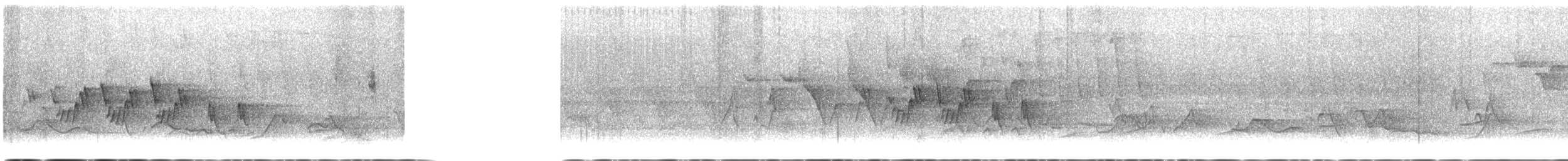 Mourning Warbler - ML619482123