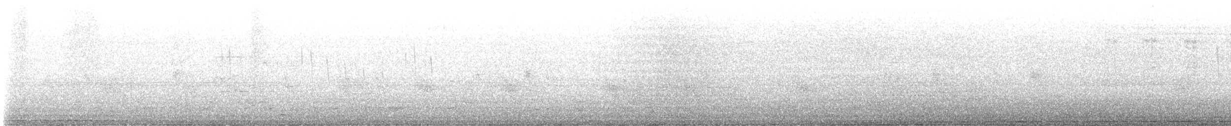 Малая вильсония (pusilla) - ML619482894