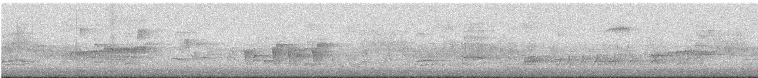 Paruline à gorge grise - ML619483991