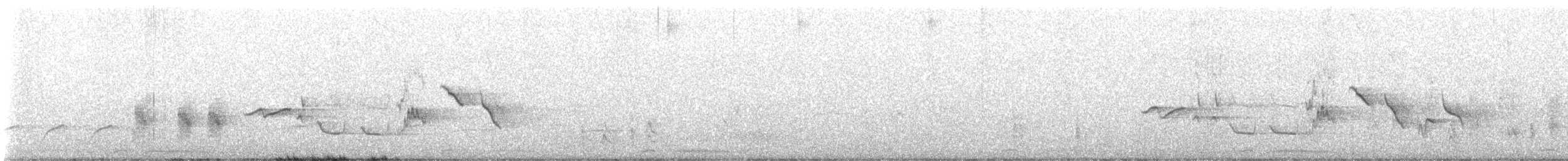 orientskjæreskvett (saularis gr.) - ML619484096