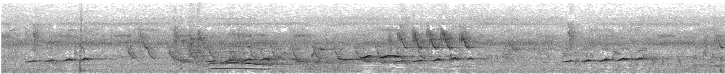 Вилохвостая дронговая кукушка - ML619484684