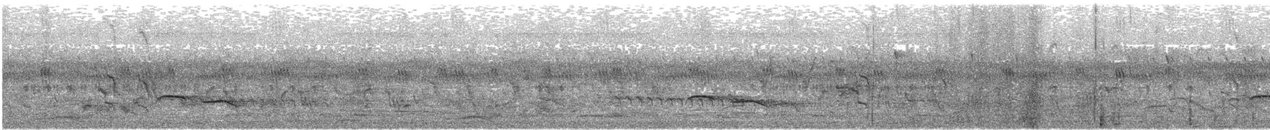 Kabarık Gerdanlı Ardıçesmeri - ML619485276