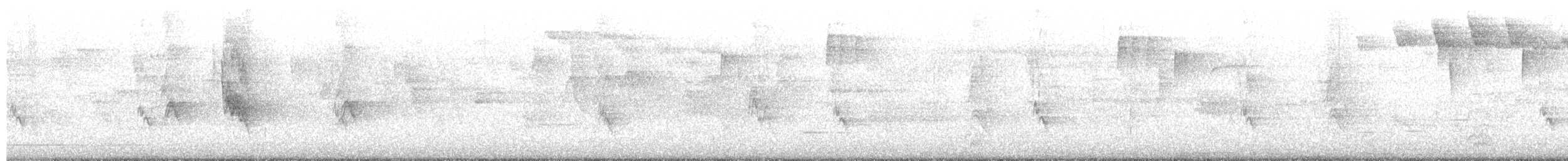 brunkinnskogtrost (swainsoni gr.) - ML619485421