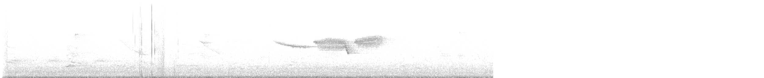 סבכון שחור-גרון - ML619485531