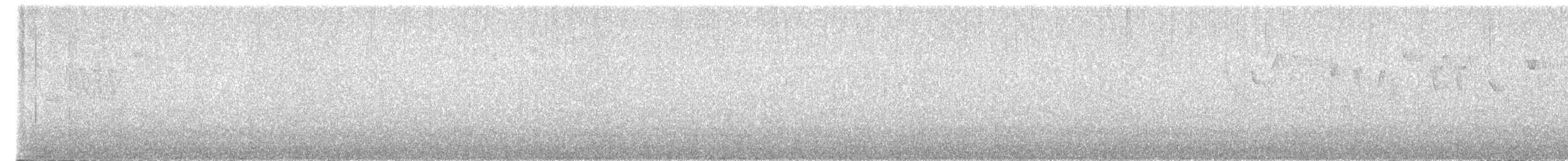Troglodyte de Baird - ML619485746