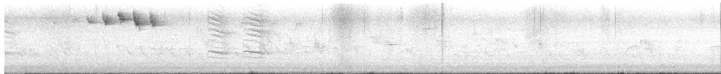 svarthetteparula - ML619486279