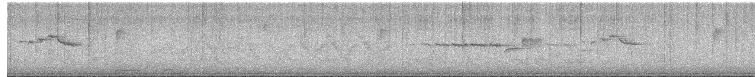 Paruline à gorge noire - ML619486351