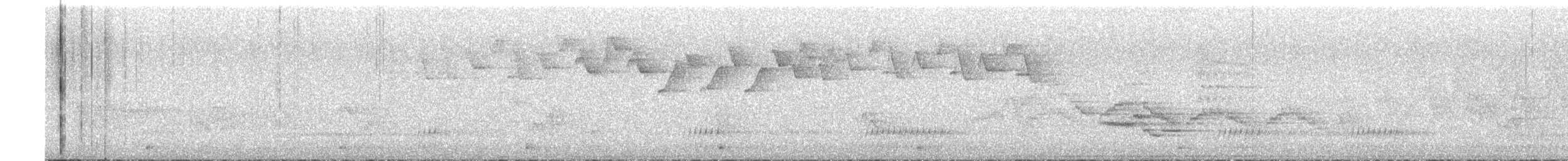 אנפה משורטטת אמריקנית - ML619486916