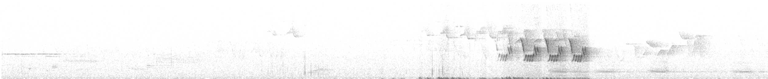 Черногорлая хвойница - ML619488791