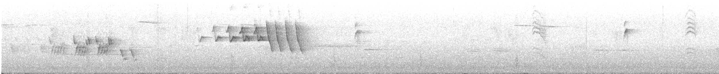 svartbrystparula - ML619490474