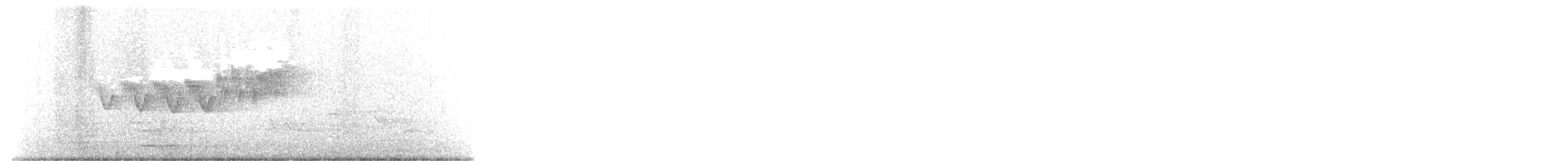 Cerulean Warbler - ML619490624