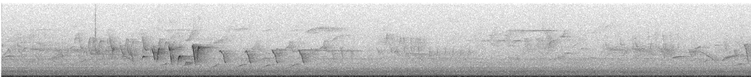 Paruline à gorge grise - ML619490753
