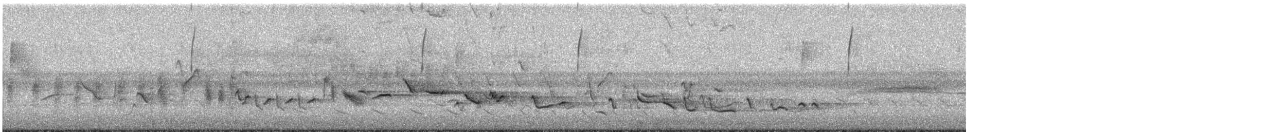 Orchard Oriole - ML619491291