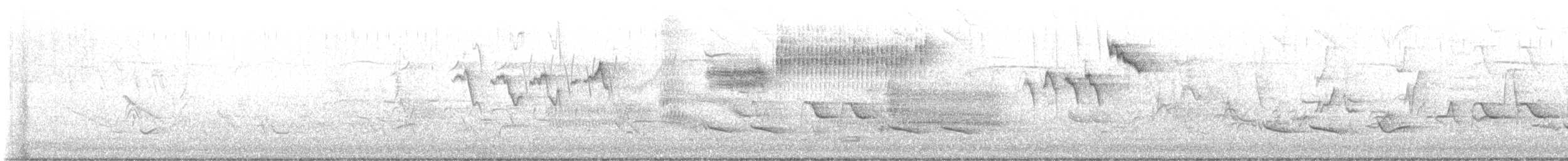 Голубокрылая червеедка - ML619491755