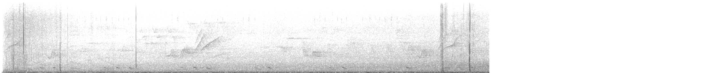 Black-billed Cuckoo - ML619491786