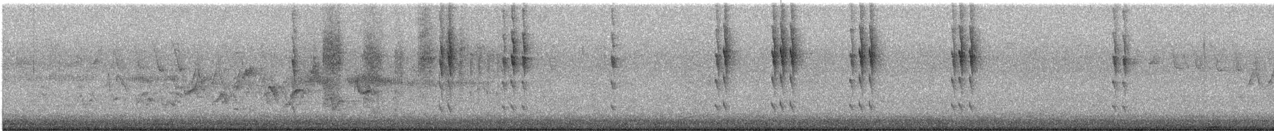 Kara Boğazlı Kolibri - ML619492422