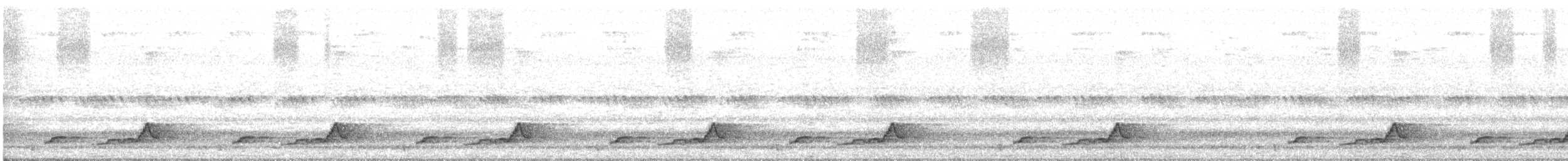 Schwarzkehl-Nachtschwalbe - ML619493670