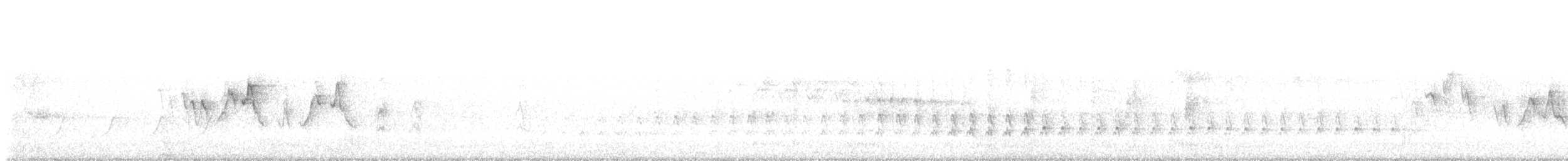 סבכון לבן-זנב - ML619493806