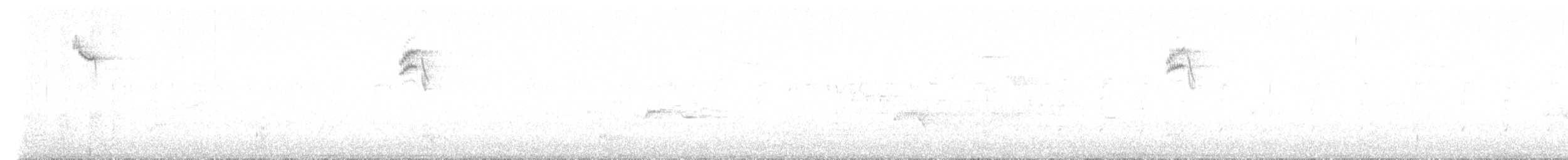 gråfluesnapper - ML619493860