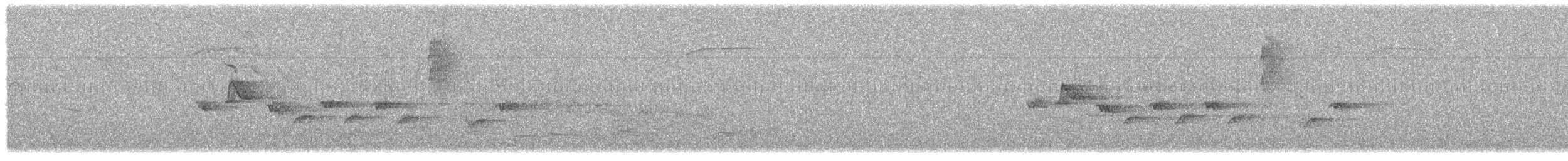svarthvit fluesnapper - ML619494403