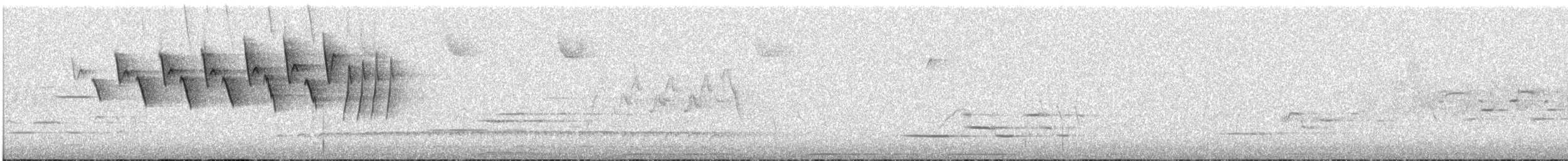 Paruline à joues grises - ML619495297
