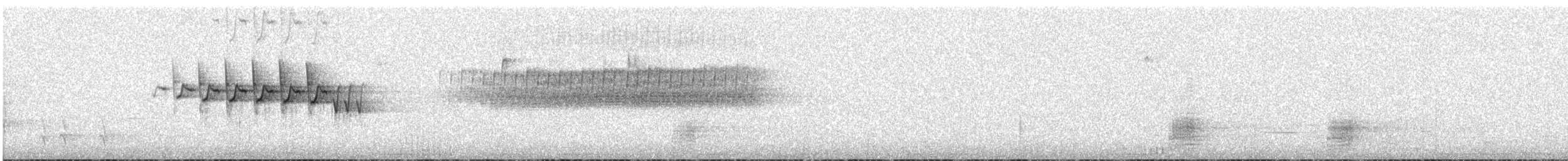 Paruline à croupion jaune (coronata) - ML619495416