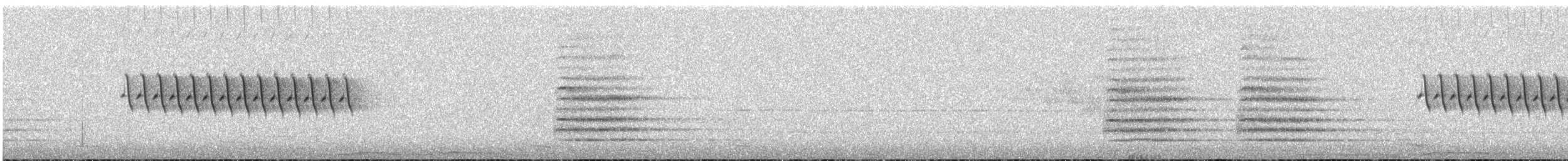 Kara Gözlü Junko (hyemalis/carolinensis) - ML619495601