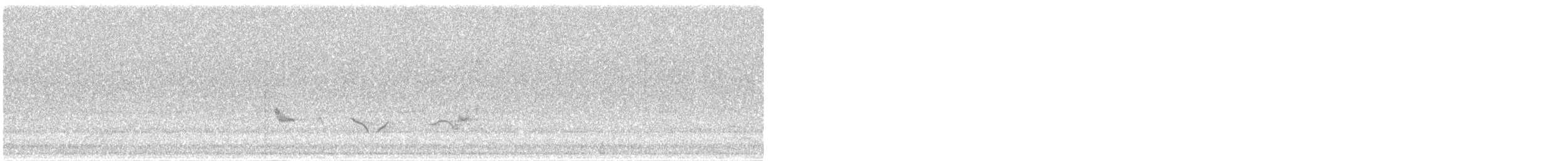Чернокрылая пиранга - ML619497189