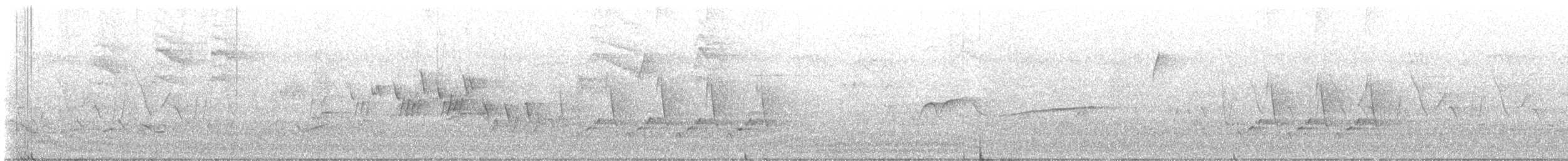 Черногорлая хвойница - ML619497240