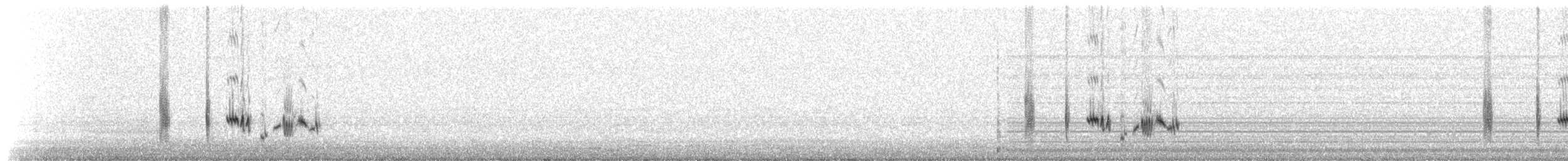 Кам’янка чорноспинна (підвид warriae) - ML619497498